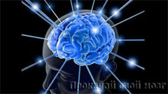 Тренировка мозга и ума