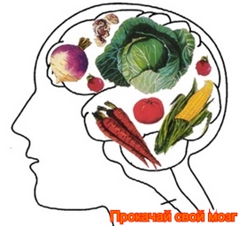 Вегетарианство и его влияние на мозг человека