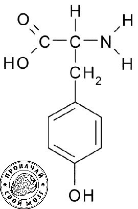 l тирозин - формула структурная