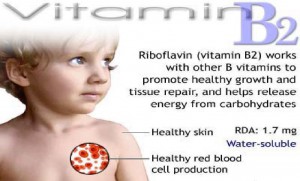 Рибофлавин — витамин для мозга